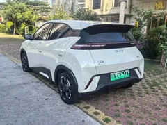 2024 BYD Seagull EV 305km Honor Freedom, белый — фото 6