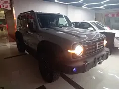 2021 Tank 300 Off-road 2.0T Conqueror — фото 4