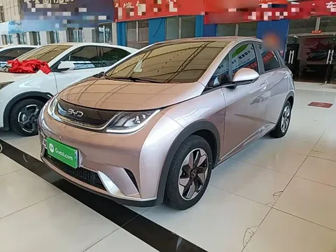 2025 BYD Dolphin 420km Freedom
