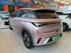 2025 BYD Dolphin 420km Freedom, чёрный — фото 5