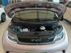 2025 BYD Dolphin 420km Freedom, чёрный — фото 20
