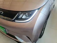2025 BYD Dolphin 420km Freedom, чёрный — фото 24