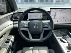 2025 BYD Song Pro 2nd Gen Smart Driving DM-i PHEV 115km Superior — фото 13