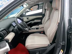 2023 BYD Yuan PLUS Champion 510km Excellence — фото 15
