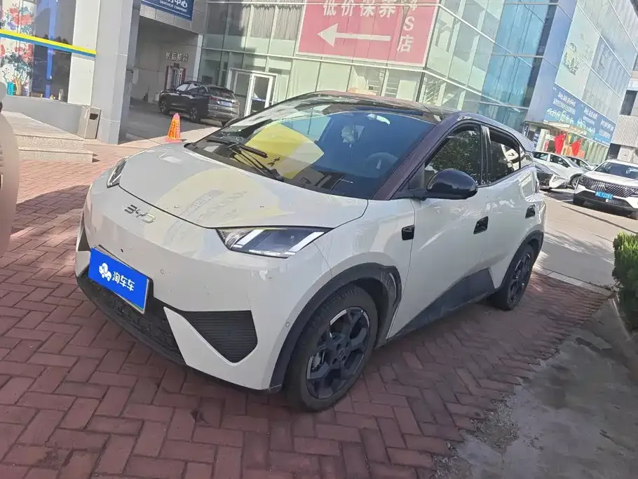 2025 BYD Seagull Smart Driving 305km Freedom