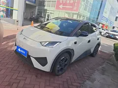2025 BYD Seagull Smart Driving 305km Freedom — фото 1