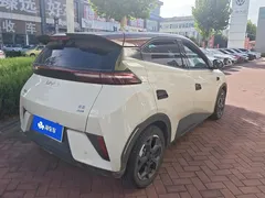 2025 BYD Seagull Smart Driving 305km Freedom — фото 3