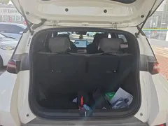 2025 BYD Seagull Smart Driving 305km Freedom — фото 4