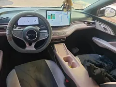 2025 BYD Seagull Smart Driving 305km Freedom — фото 12