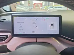 2025 BYD Seagull Smart Driving 305km Freedom — фото 14
