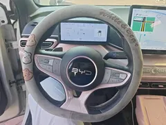 2025 BYD Seagull Smart Driving 305km Freedom — фото 15