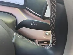 2025 BYD Seagull Smart Driving 305km Freedom — фото 16