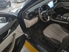 2023 BYD Qin PLUS Champion DM-i PHEV 55KM Leading, синий — фото 16