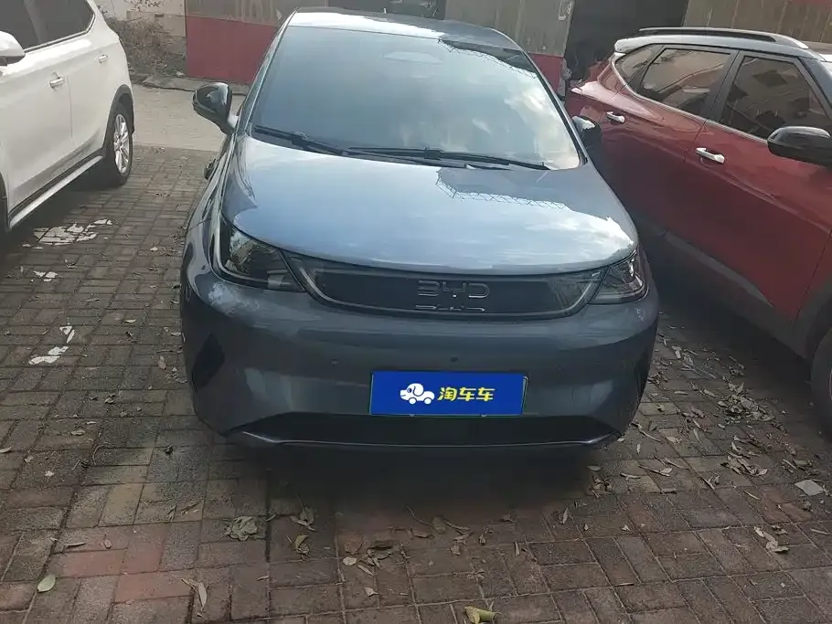 2025 BYD Dolphin Smart Driving 420km Freedom EV