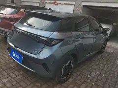 2025 BYD Dolphin Smart Driving 420km Freedom EV — фото 2