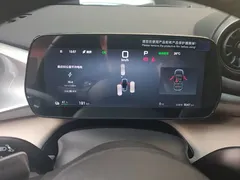 2025 BYD Dolphin Smart Driving 420km Freedom EV — фото 13