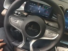 2025 BYD Dolphin Smart Driving 420km Freedom EV — фото 14