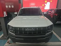 2022 Haval Cool Dog 1.5T DCT 2WD, белый — фото 3