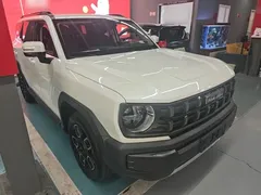 2022 Haval Cool Dog 1.5T DCT 2WD, белый — фото 4