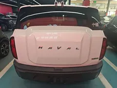 2022 Haval Cool Dog 1.5T DCT 2WD, белый — фото 6