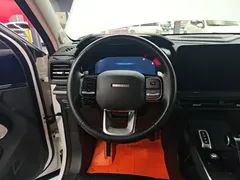 2022 Haval Cool Dog 1.5T DCT 2WD, белый — фото 11