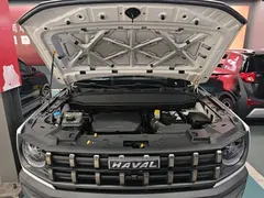 2022 Haval Cool Dog 1.5T DCT 2WD, белый — фото 20