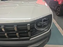 2022 Haval Cool Dog 1.5T DCT 2WD, белый — фото 24