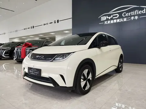 2023 BYD Dolphin 420km Fashion