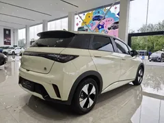 2023 BYD Dolphin 420km Fashion, белый — фото 5