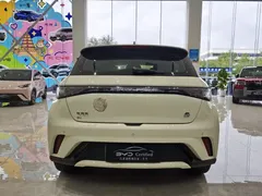 2023 BYD Dolphin 420km Fashion, белый — фото 6