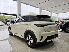 2023 BYD Dolphin 420km Fashion, белый — фото 7