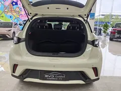2023 BYD Dolphin 420km Fashion, белый — фото 15