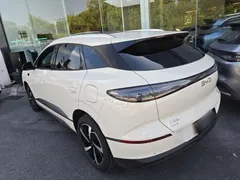 2025 BYD Sealion 06 DM-i PHEV 205 Plus, белый — фото 23