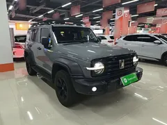 2021 Tank 300 Off-road 2.0T Conqueror — фото 4