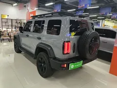 2021 Tank 300 Off-road 2.0T Conqueror — фото 5