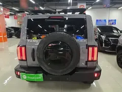 2021 Tank 300 Off-road 2.0T Conqueror — фото 6