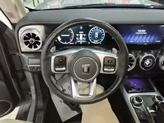 2021 Tank 300 Off-road 2.0T Conqueror — фото 11