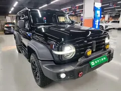 2021 Tank 300 Off-road 2.0T Conqueror, чёрный — фото 4