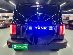 2021 Tank 300 Off-road 2.0T Conqueror, чёрный — фото 6