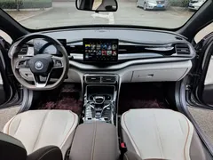 2024 BYD Qin PLUS DM-i PHEV 55km Honor Excellence — фото 11