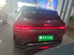 2025 BYD Song PLUS EV 520km Luxury — фото 6