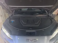 2025 BYD Song PLUS EV 520km Luxury — фото 20
