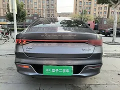 2024 BYD Qin PLUS Honor DM-i PHEV 55km Leading — фото 6