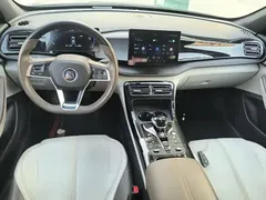 2024 BYD Qin PLUS Honor DM-i PHEV 55km Leading — фото 10