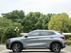 2023 BYD Yuan PLUS EV Champion 430km — фото 5