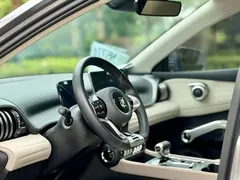 2023 BYD Yuan PLUS EV Champion 430km — фото 10