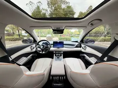 2023 BYD Yuan PLUS EV Champion 430km — фото 14
