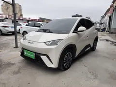 2024 BYD Seagull Honor 305km Vitality, белый — фото 1
