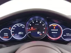 2023 Porsche Panamera 2.9T Platinum Edition — фото 11