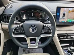2021 BYD Song PLUS EV Flagship — фото 11